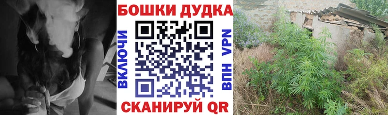 А ПВП Брюховецкая